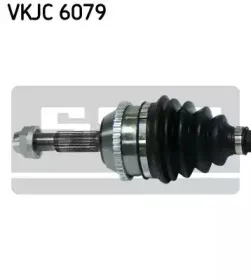 skf-vkjc6079
